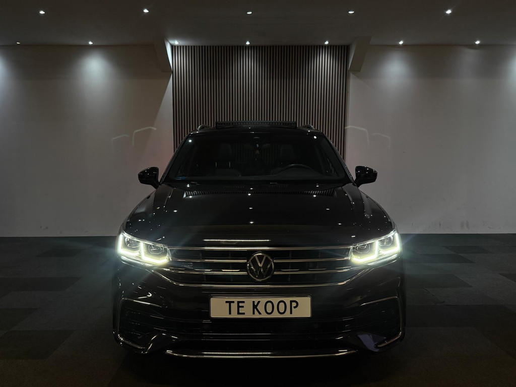 51223567-2.jpg